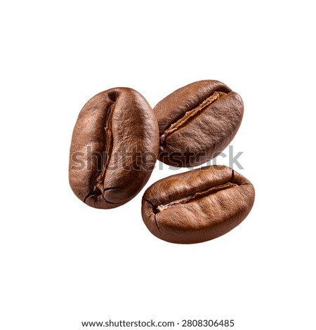Isolated roasted coffee bean still life close-up shot, single brown seed on clear background