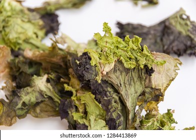 Isolated Rotten Lettuce On White Background.