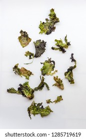 Isolated Rotten Lettuce On White Background.