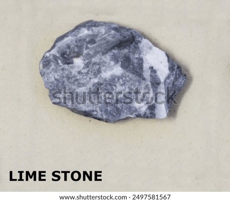 Isolated sample of a Lime Stone rock on texture background. Lime Stone Sedimentary Rock sample. Lime Stone rock isolated.
