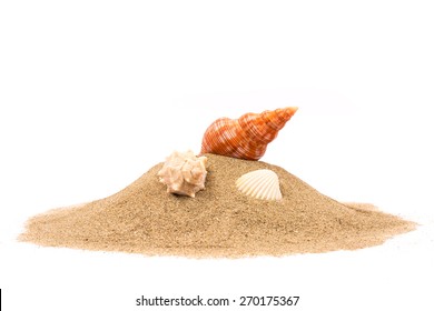 Isolated seashell on sand, white background - Shutterstock ID 270175367