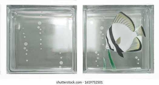 Isolated See Through Square Bathroom Glass Block Cube Stall Panel With Moorish Idol Fish Illustration And  Small Smooth Bubbles Texture Pattern .Use For Object And Material. Array In Two Grid Line.