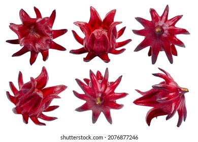 Isolated set red roselle fruit. Fresh roselle fruit on white background. (Jamaica sorrel, Rozelle or hibiscus sabdariffa) clipping path. - Shutterstock ID 2076877246