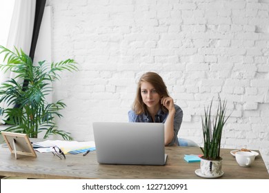 Isolated shot of focused young woman working on creative start up project at home office, sitting in front of open portable computer against white brick wall background with copyspace for your text - Shutterstock ID 1227120991