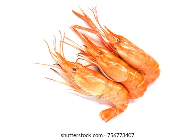 isolated shrimp in white background