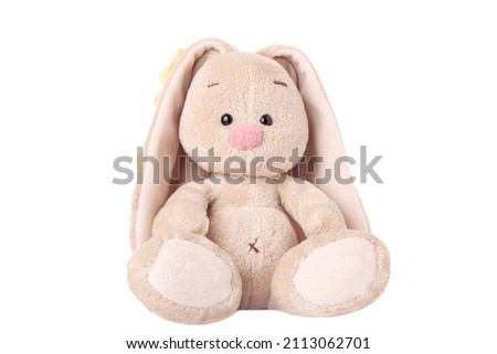 Isolated sitting toy rabbit. Plush gift. Bunny.