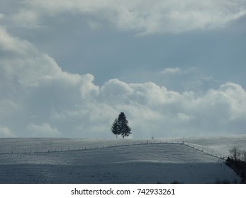 isolated in the snow