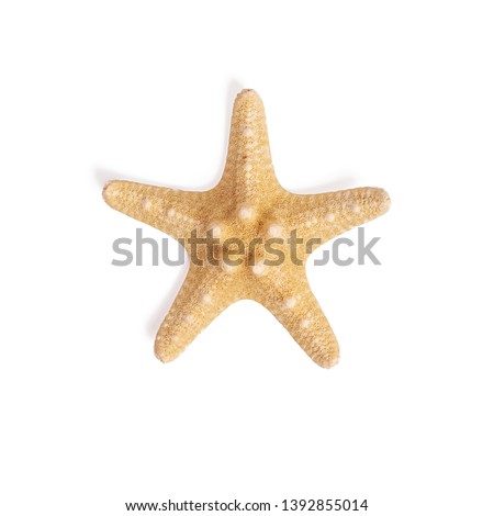 Isolated starfish on white background.Top view