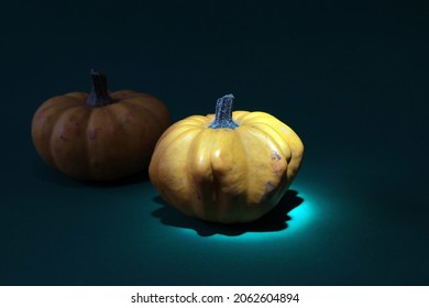 An Isolated Stem On A Pumpkin Lit From Above.