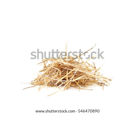 isolated Straw Dry hay