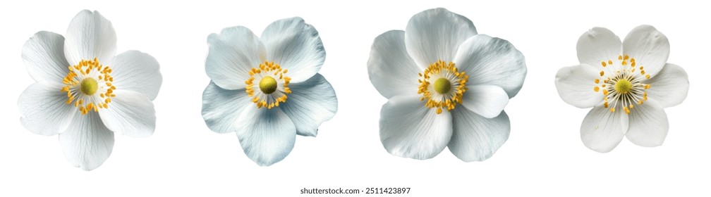 An isolated strawberry flower with a white background and full depth of field - Powered by Shutterstock