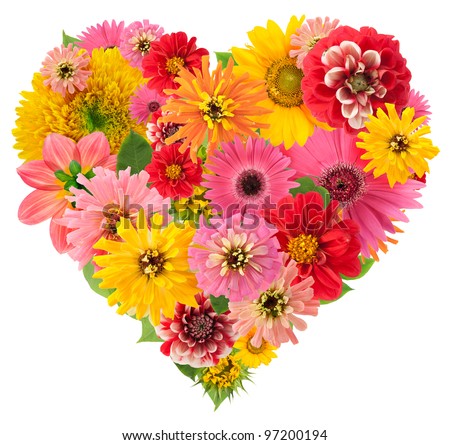 Isolated Summers flowers heart floral collage concept