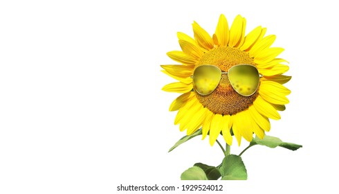 Funny Sunflower Stock Photos Images Photography Shutterstock