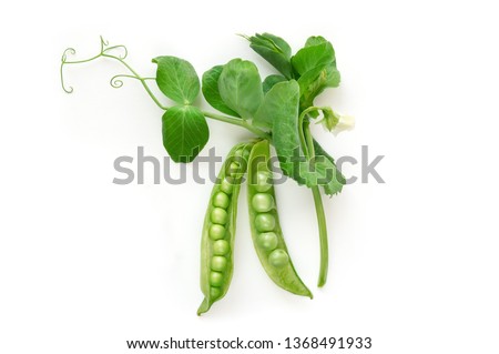 Isolated sweet green peas (beans) with green leaves. Top view. White background.