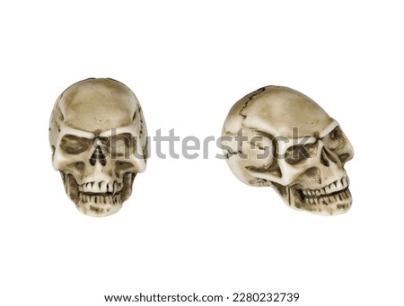 isolated toy skull in two views with clipping paths