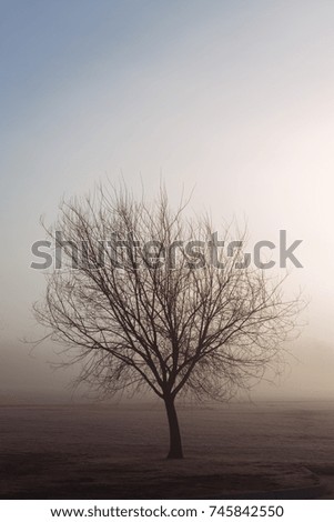 Similar – Wahner Heide ruhig Natur