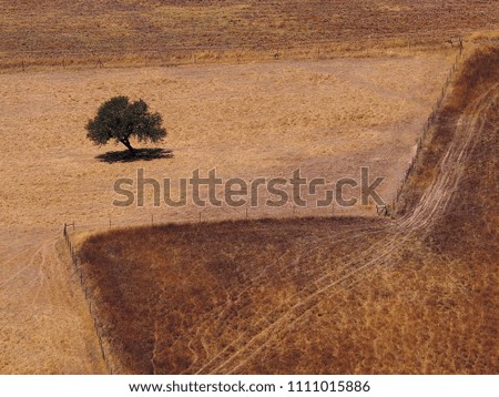 Similar – Image, Stock Photo Environmental protection?