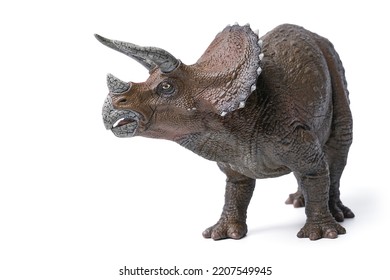 Isolated triceratops dinosaurs. dinosaurs toy on white background. triceratops was a really big dinosaur eating herbivorous with clipping path.
