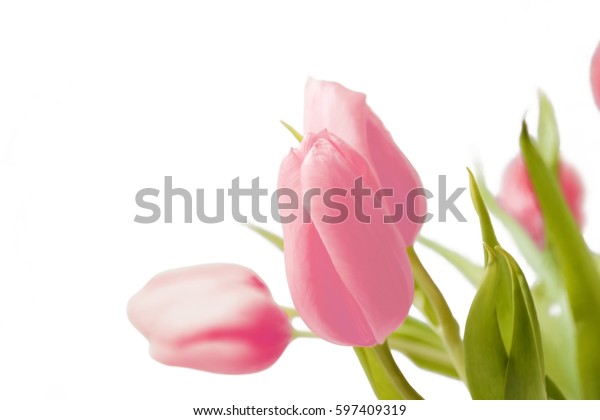 Isolated Tulips Corner Stock Photo 597409319 | Shutterstock