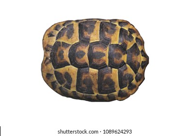 Stock Photo and Image Portfolio by SerenaReb | Shutterstock