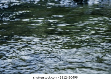 Isolated view of large weathered grey stones in a shallow river, creating a natural and solid foundation amidst the flowing water in a wild forest setting.