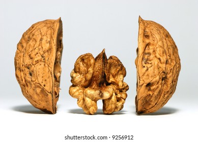 Isolated Walnut Fruit Between Two Shells Stock Photo 9256912 | Shutterstock