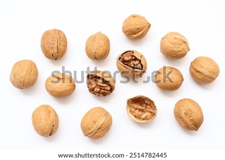 Isolated of walnut, walnuts nut isolate on white background