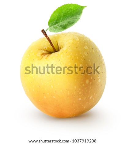 Isolated wet apple. Whole yellow apple fruit with leaf isolated on white background with clipping path