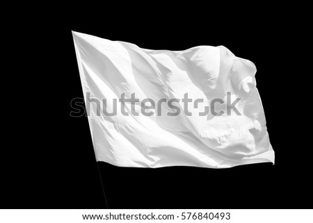 Isolated White flag