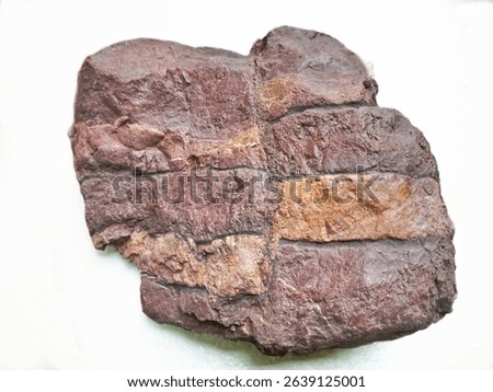isolated white red limestone chert, is an ocean floor rock that contains radiolarian fossils