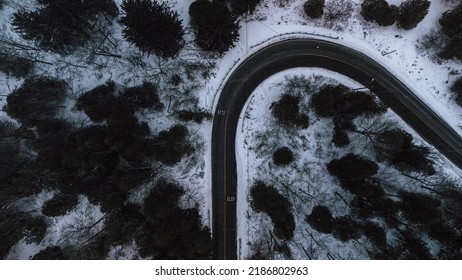 Isolated Winter Road Turn Around Trees