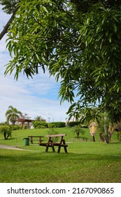 An Isolated Wooden Bench In A Park With No People