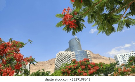 Israel, Dead Sea 13 May 2023 tourist hotel on the shore, cars in the parking lot, people. High quality photo - Powered by Shutterstock