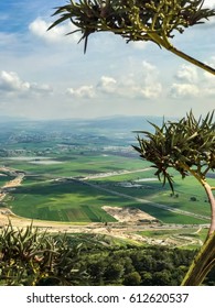 Israel Megiddo