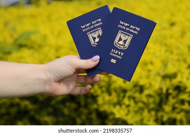 Israeli passport Darkon. A woman's hand is holding two Israeli biometric passports. Concept: travel, citizenship, emigration. Beautiful background, green grass and yellow flowers. Translation: Darkon - Shutterstock ID 2198335757