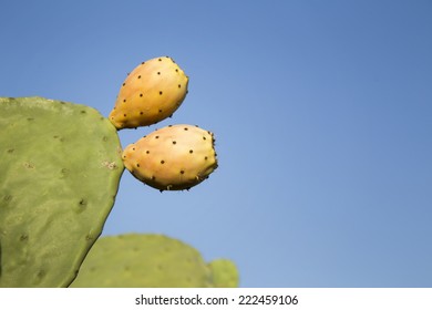 Israeli Sabra Desert Fruit With Spikes