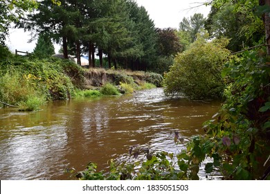 Issaquah Creek Viewed From Confluence Park.