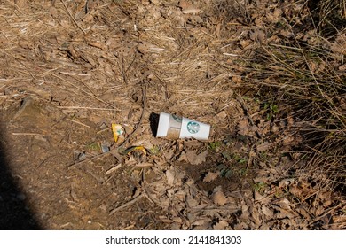 Istanbul, Eyup, Gokturk, 02.04.22, Waste Starbucks Cup In Forest, Example Of Unconscious People, Environmental Pollution