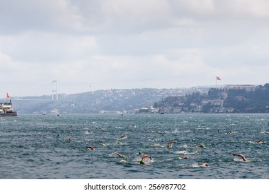 Istanbul, JULY 20, 2014 - The Traditional 26th Samsung Bosporus Cross Continental Swimming Race, With 1729 Sportsman From 45 Countries Took Place Last 21st July - Reported The Local Media.