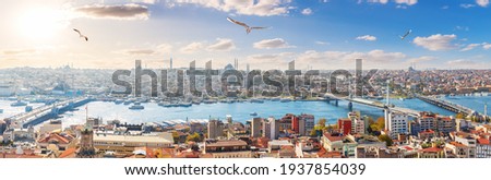Istanbul panorama, bridges and the Golden Horn, skyline view