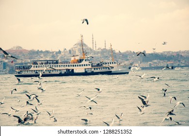 istanbul seagull flying seagull in the back steamship nostalgic. istanbul ship bosphorus istanbul ship accompanies gulls as they travel on the sea. istanbul Turkey 10 January 2019