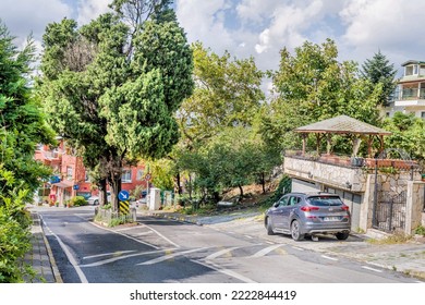 Istanbul, Tufkiye; Sept. 13, 2022: Empty Urban Street With Large Old Tree In Center Median.