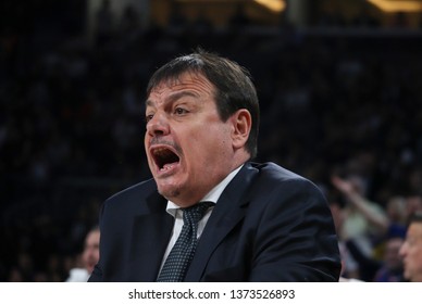 ISTANBUL / TURKEY - APRIL 17, 2019: Coach Ergin Ataman During Turkish Airlines EuroLeague 2018-19 Play-Off Game 1 Anadolu Efes Vs Barcelona Lassa At Sinan Erdem Dome.