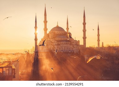 Estambul, Turquía. Mezquita Azul (Sultanahmet Camii) al atardecer. Gaviotas al fondo de la puesta de sol. El punto de referencia de Estambul.