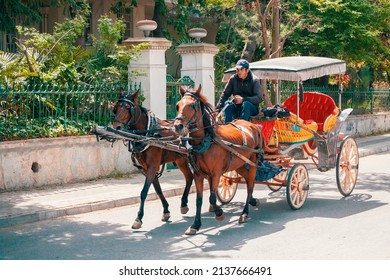 Istanbul, TURKEY:May 01 2019:  An Empty Phaeton I Fayton Passing By On The Street In Buyukada I Prince Island. The Use Of Phaetons Was Terminated Due To The Neglect Of Animal Rights.