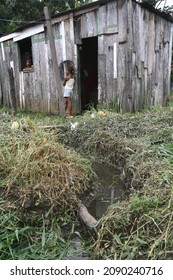 itabuna, bahia, brazil - january 5, 2012: open sewer next to a makeshift wooden house in a favela area in the city of Itabuna.