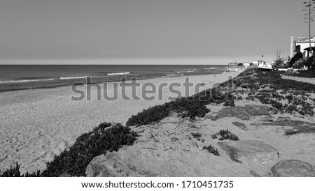 Image, Stock Photo dune Beach Beach dune