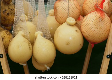 Italian Cheeses Typical Products