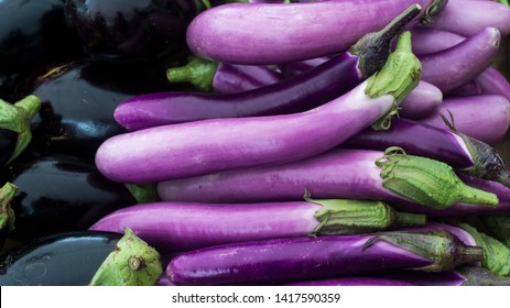 Italian Eggplant At The Farmers Market