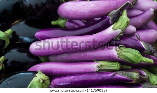 Italian eggplant at the\
farmers market